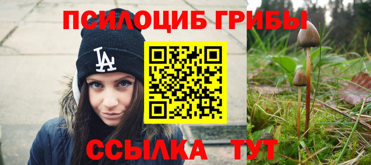 Псилоцибиновые грибы Cubensis Ростов-на-Дону